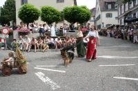 IMG_6355 (2) 